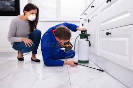 Emergency Pest Control Services in Schererville, IN